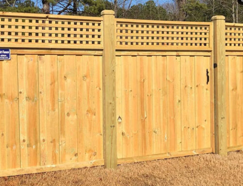What Is The Best Wood For Fence?